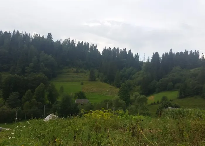 Zatyshok Plave